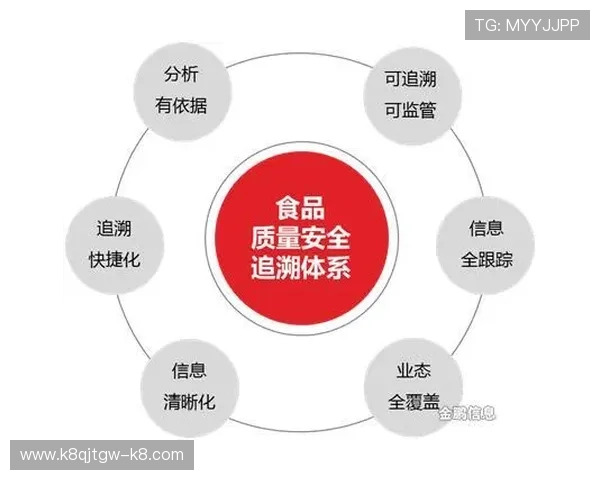IM体育官方最新公告，全面解析平台安全保障措施与用户权益保护方案