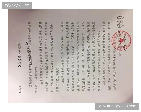 凯发国际登录入口在哪官方公告，公布最新登录入口地址及更新信息确保用户顺利访问平台