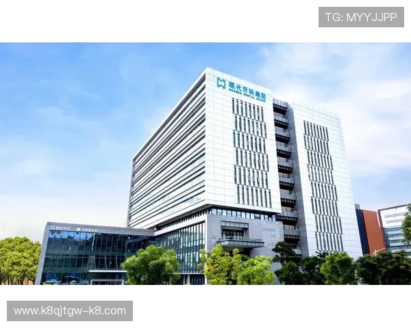 凯发集团简介：行业地位与竞争优势分析报告