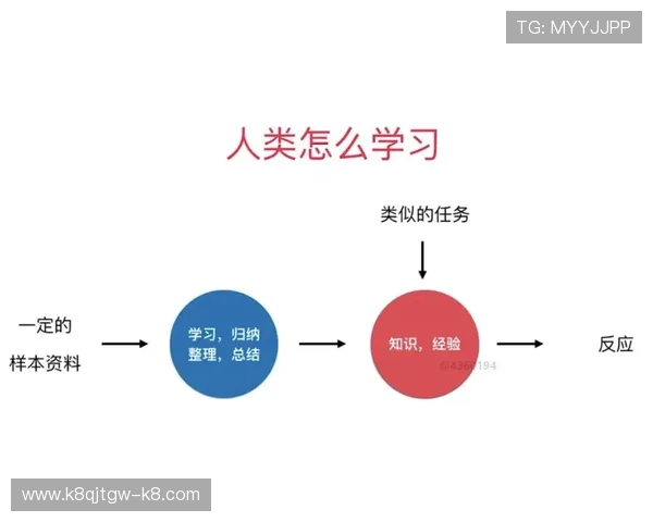 全面解析凯发电子最新消息内容助力用户做出明智投注决策